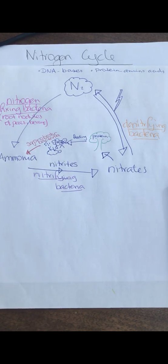 beckyluty's tweet photo. @dewhurst_ben @chatbiology Always draw mine. This is a screen shot of a video I did during lockdown. (Video too embarrassing to share) https://t.co/2LaeTBrnJT