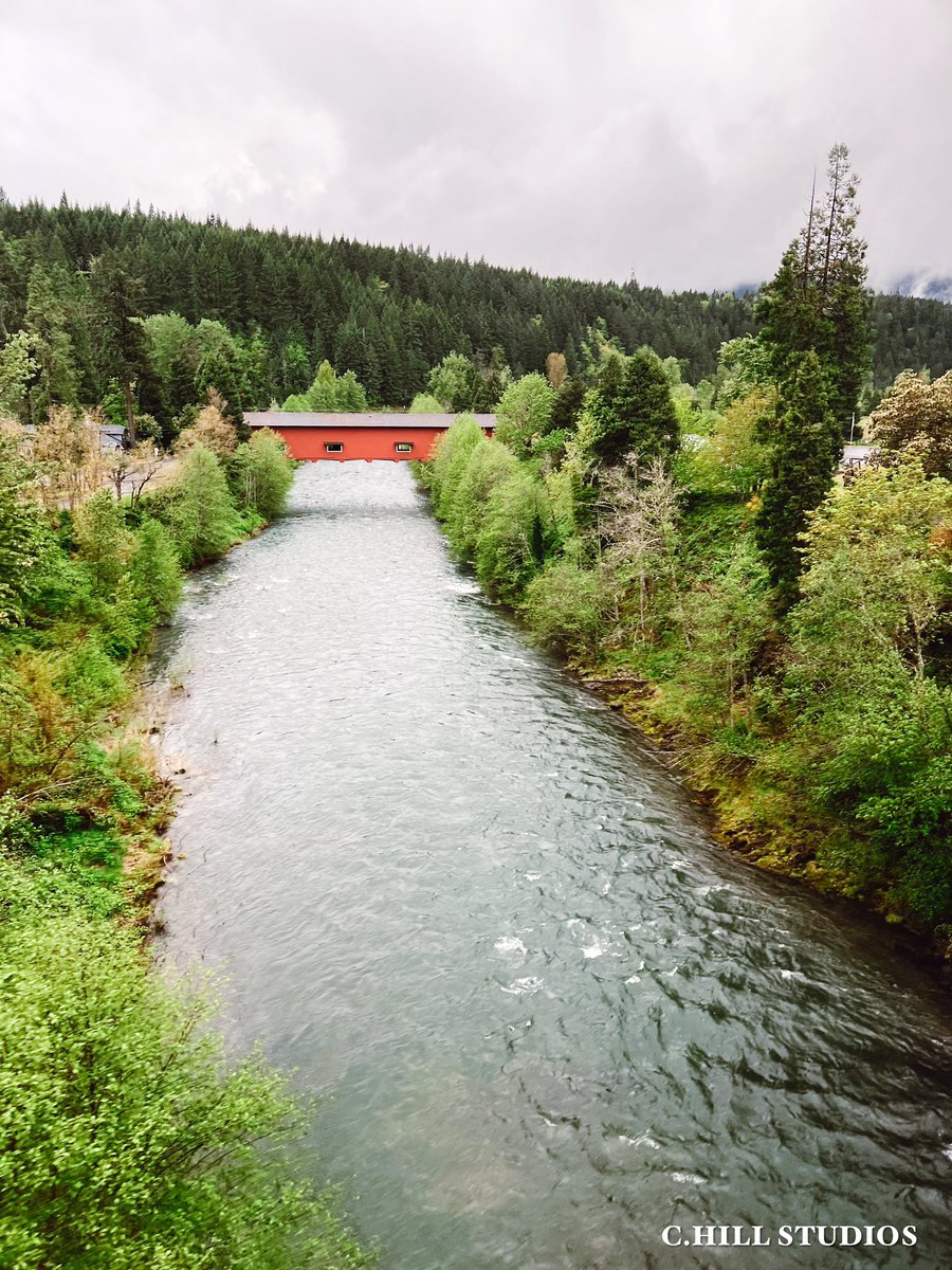 _chillstudios's tweet photo. #VIEWS #NATURE #WATER #CREATURES #MOUNTAIN #TREES #FOG #MIST #SNOW 

#CHILLMOMENTS

#CHILLSTUDIOS [ #FILM | #MUSIC | #DESIGN ] https://t.co/93x7qi3yhf