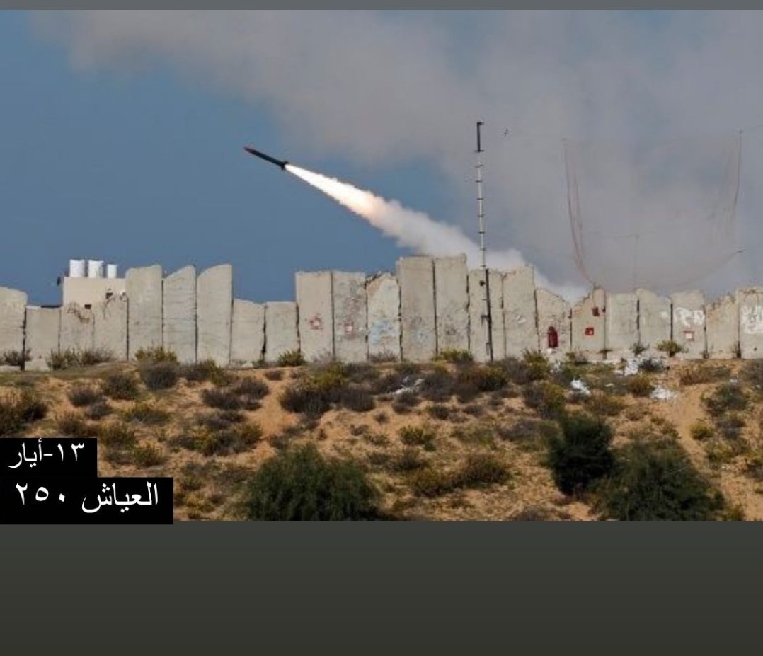 Pali_chubby's tweet image. في مثل هذا اليوم العام المنصرم قامت غزة من حدادها على شهدائها وأثبتت للعالم معنى الصمود وطلب الحرية، زغرد عياش ٢٥٠ في ربوع أرضنا المحتلة، انصرف العام الماضي بحزنه وظن المحتل أن آمالنا للتحرير بدأت تنهار، أو على الأقل تتآكل كفايةً لتخفف ألم رأسه منا، أتت جنازة اليوم
+