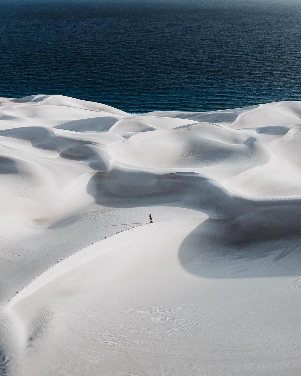 viewsfrance's tweet photo. L’île de Socotra, au Yémen 📍 https://t.co/PnnsRRu5S7