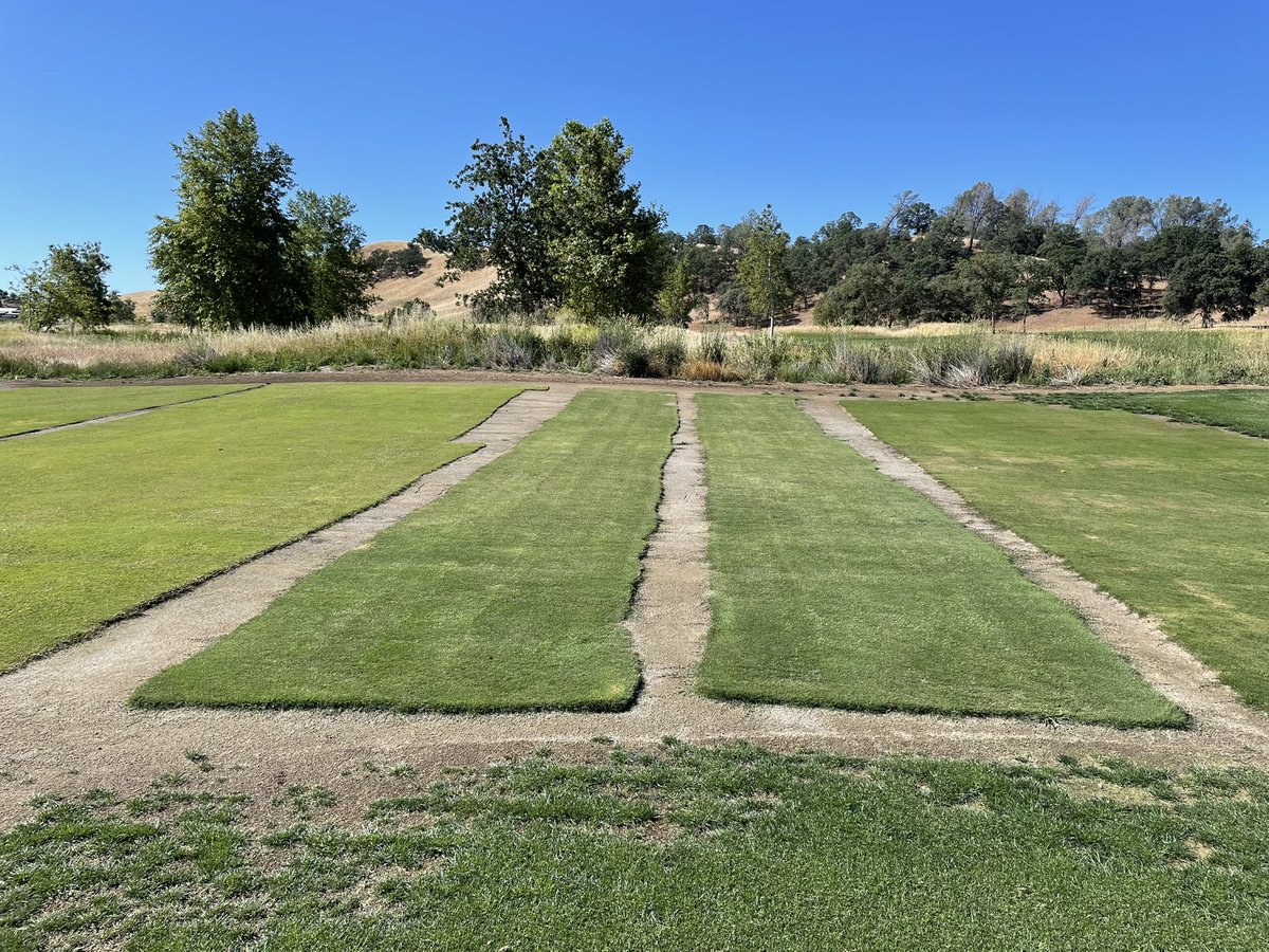 Jim Baird tweet media