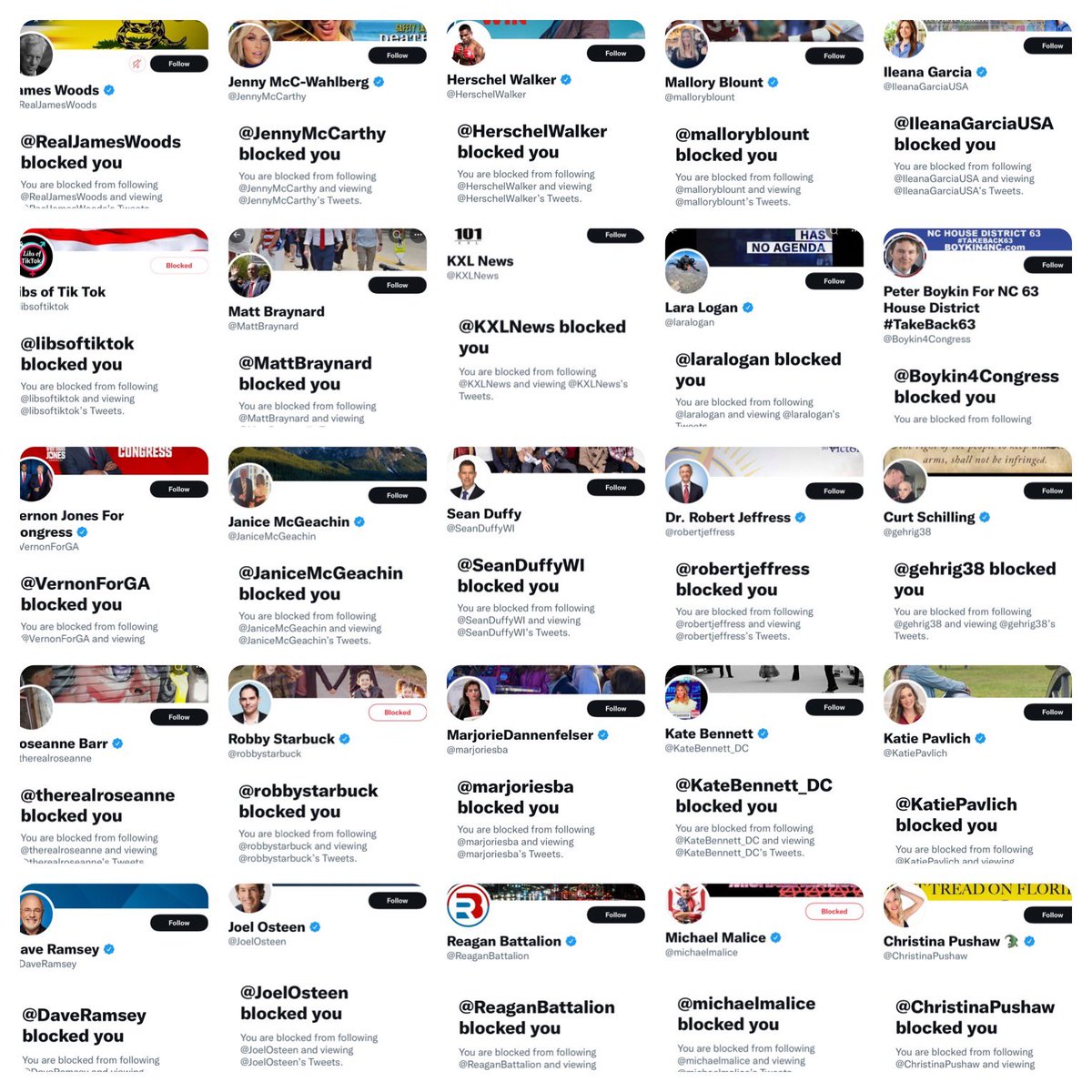 Tara Dublin, Rock Star Author & Political Savant tweet media