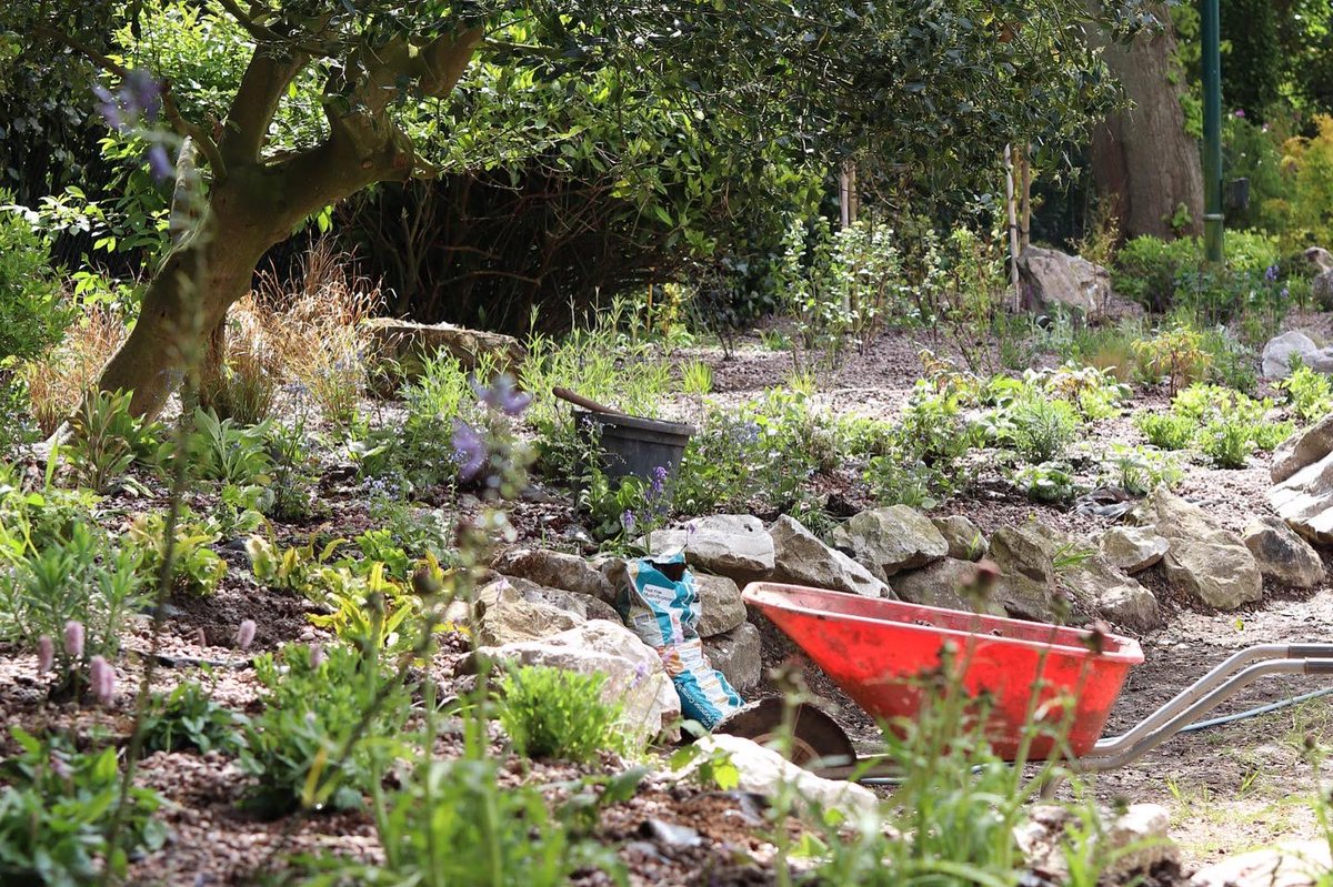 CLSWIFT's tweet image. Great couple of days helping @FatGrassDesign plant up a huge bed. Looking forward to seeing it mature! #gardendesign #cheshire #gardening