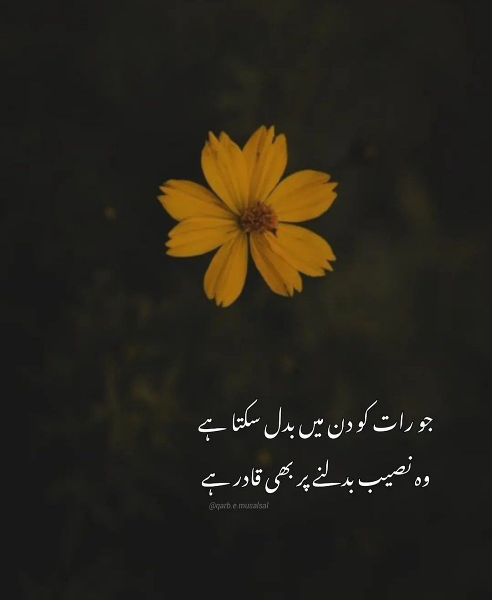 Parvaiz_789's tweet photo. https://t.co/GDvUBeXNN5