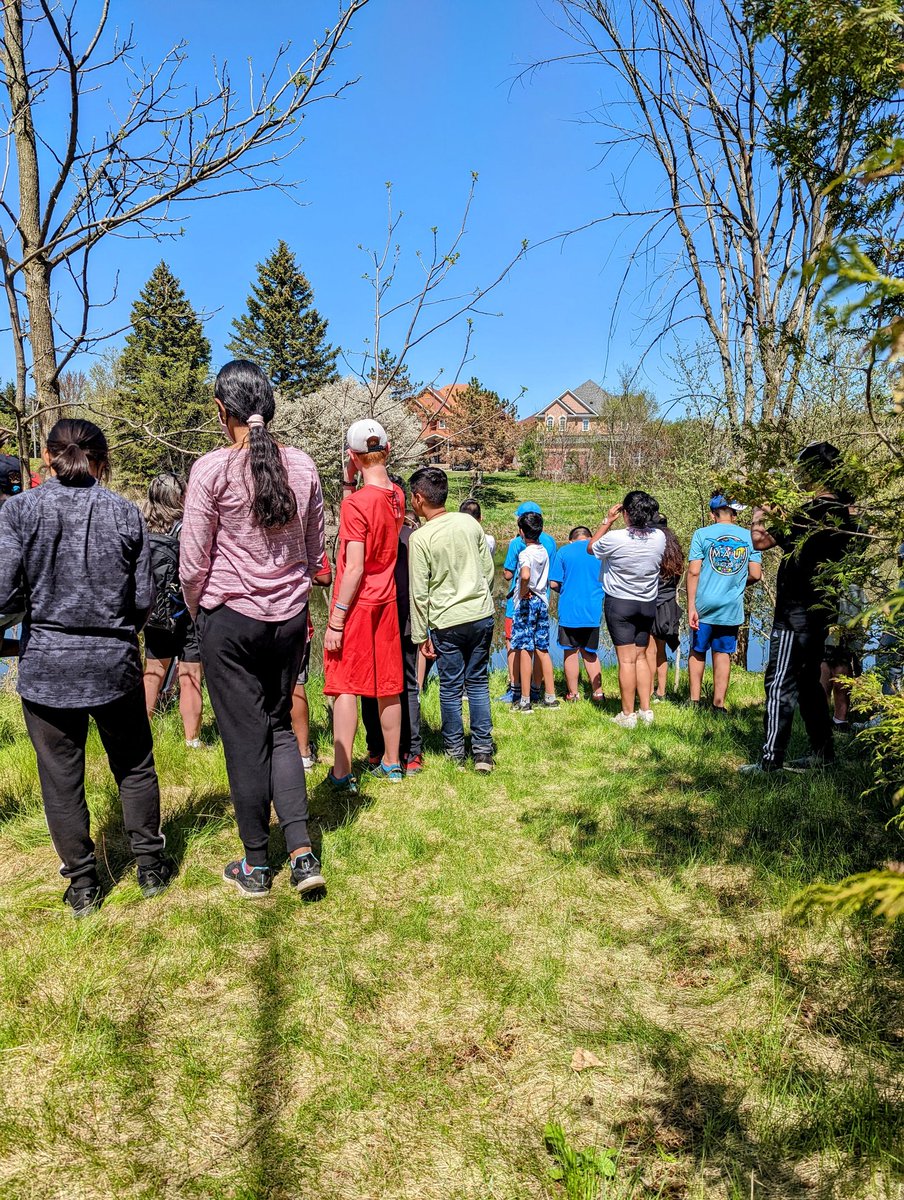 mrspclass's tweet photo. A great day for bird watching! @YRDSBGetOut @YRDSBoutdoorEd https://t.co/kPKcVhkWu4