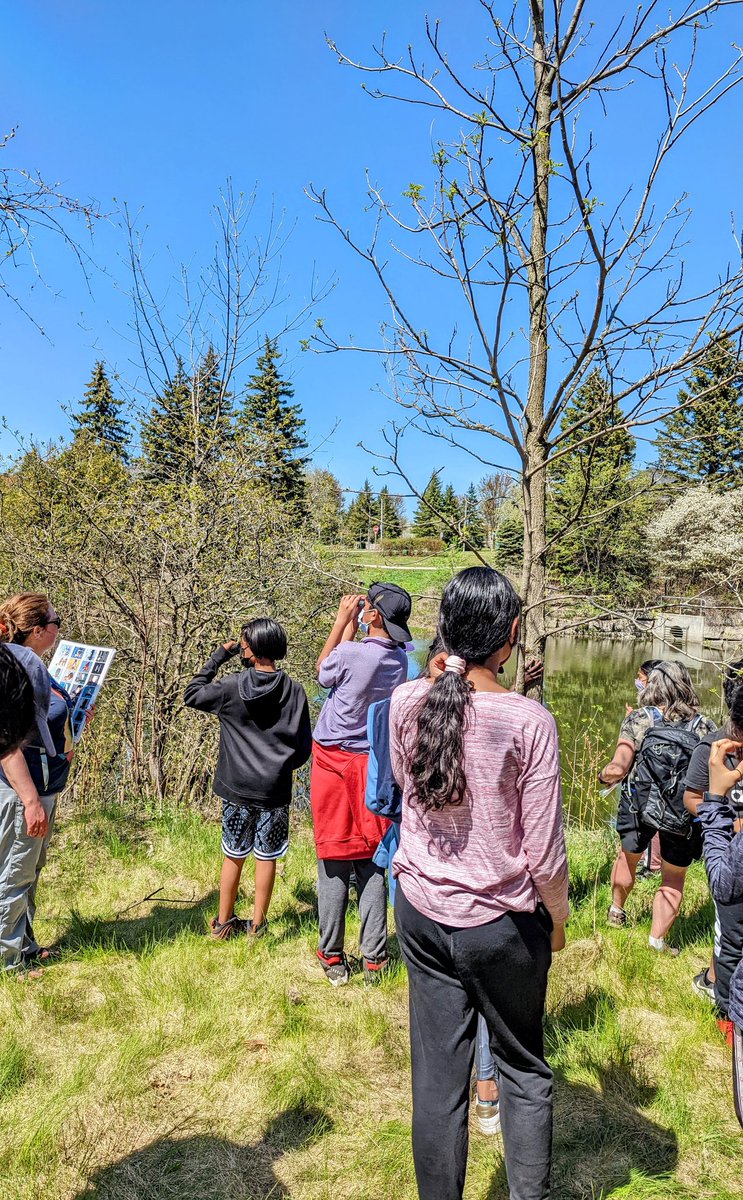 mrspclass's tweet photo. A great day for bird watching! @YRDSBGetOut @YRDSBoutdoorEd https://t.co/kPKcVhkWu4