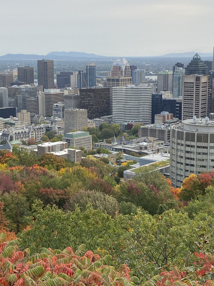 AdamsAnnmarie's tweet photo. 📢The School of Architecture @mcgillu invites applications for 2 FT open-rank or assist prof TT positions. These positions are supported by McGill’s Action Plan to Address Anti-Black Racism
 https://t.co/FEgf4rIVHv https://t.co/iJu3cndwaU
