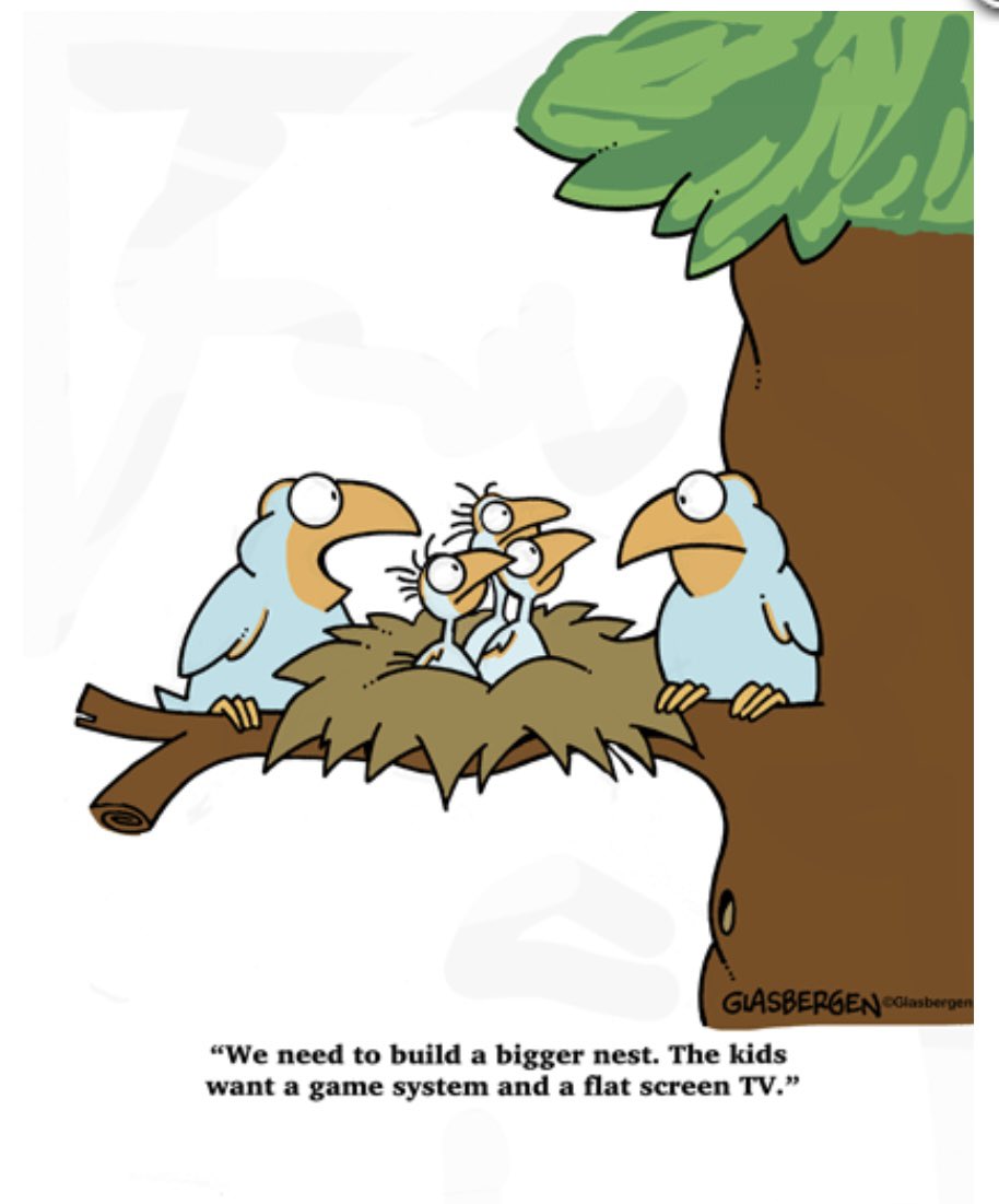 Wild Birds Unlimited Toronto (@unlimited_wild) / Twitter Wild Birds Unlimited Toronto (@unlimited_wild) / Twitter
