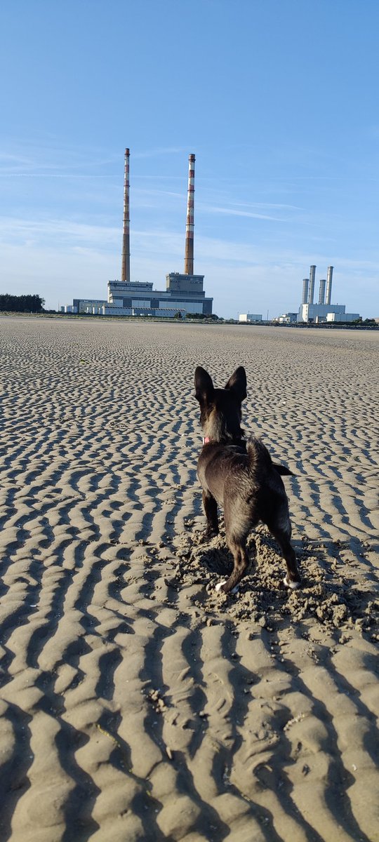 #dublin #poolbeg