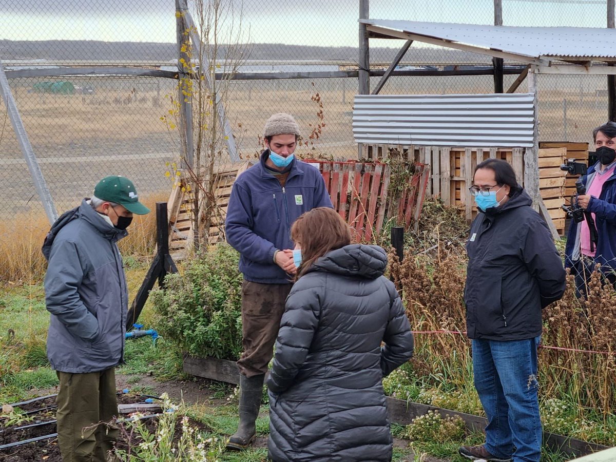El Subsecretario del Ministerio de Agricultura José Guajardo Reyes, la seremi, Irene Ramírez Mérida y el director regional de INIA Kampenaike, Erwin Domínguez visitaron el Faro Agroecológico del Instituto. La Unidad Demostrativa, está ubicado #PuertoNatales🥬🥒