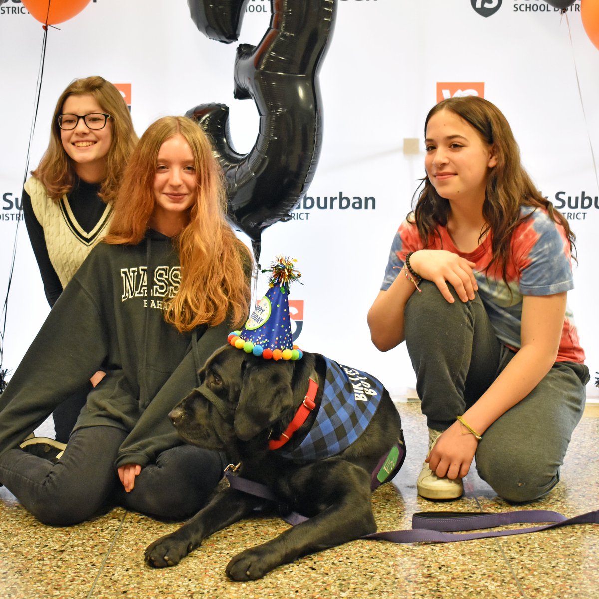York Suburban School District tweet media