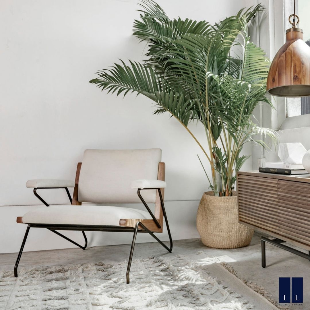 Iconiclivinginc's tweet photo. Nothing sets the vibe more right than greenery🌿🪴
.
.
.
#homeideas #interiordesign #decoration #home #decor #furniture #homedecor #modernliving #Torontosbest #oakvilleinteriordesign #Iconicliving #interiordesigntoronto #homefashion #furniturestores #shopoakville https://t.co/jNVEze49bR