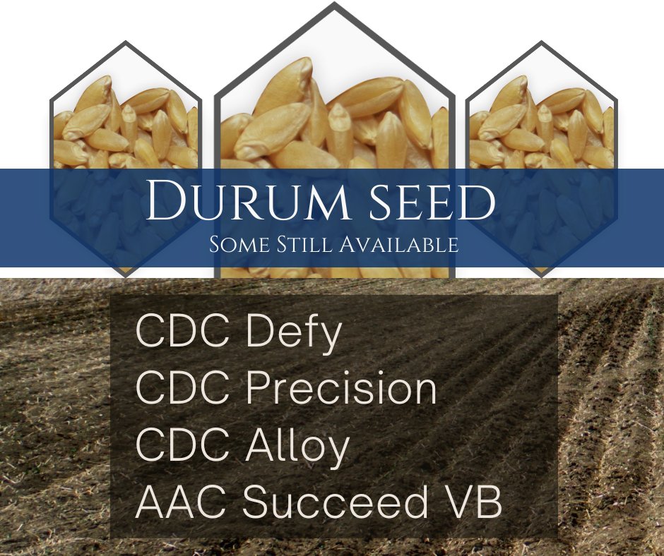 <a href="/McDougallAcres/">McDougall Acres Grainex</a> still has some durum seed available. For orders call 306-693-3649.
<a href="/SeCan/">SeCan</a> <a href="/FPGenetics/">FP Genetics</a> 
#Plant22 #Saskatchewan #Farming