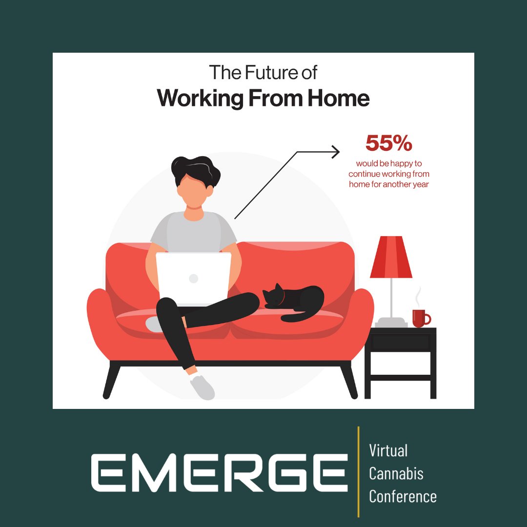 EmergeCannabis's tweet photo. How much time do you spend on #social media while working from home? Have you taken a #nap during work hours in the past year? Let us know in the comments👇

Source: 
https://t.co/RSEKA5pQYV

#MentalHealthAwarenessMonth #WorkFromHome #home #life #remote #work #Verizon #GoVerizon https://t.co/X9Fku7zWlz