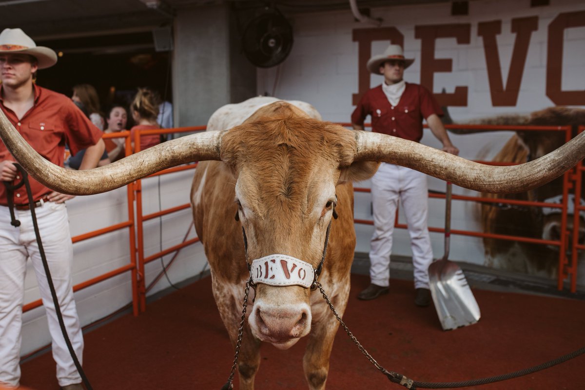 StillATX's tweet photo. Rounding out the #TexasFightTour with our last stop in Houston next week! Have you seen us at a tour stop? Let us know! #Hookem 🤘 https://t.co/ouZt0ZlcuX