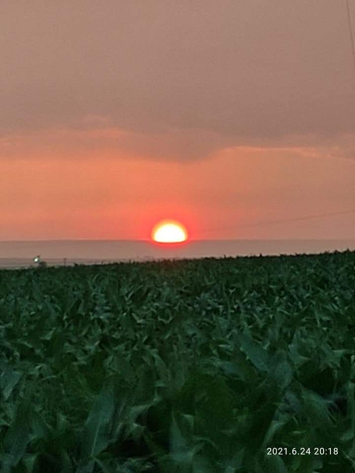 @fjollehaxhiu Konya, Türkiye