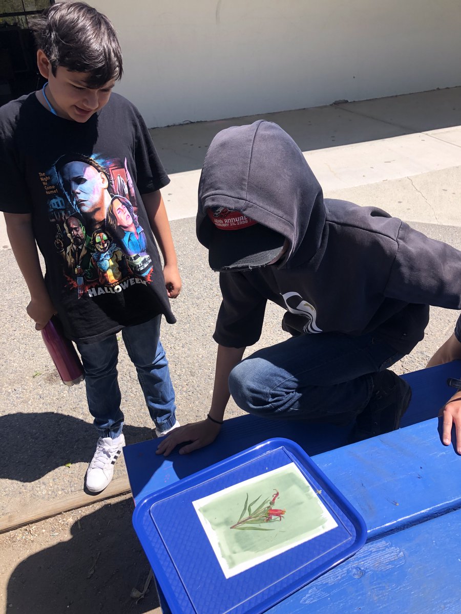 DomeniciMs's tweet photo. Cyanotype magic! Students began making negative prints of our local ecosystem flora this week.

Huge shoutout to VIDA families for helping us collect plant species from all over the community! 🌱🌸@VIDASHARKS https://t.co/FcuSc9RhPl