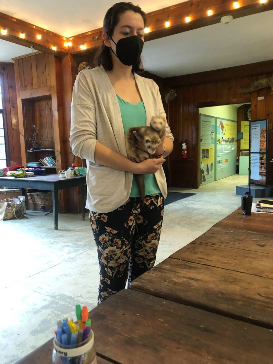 KDTIthaca tweet media