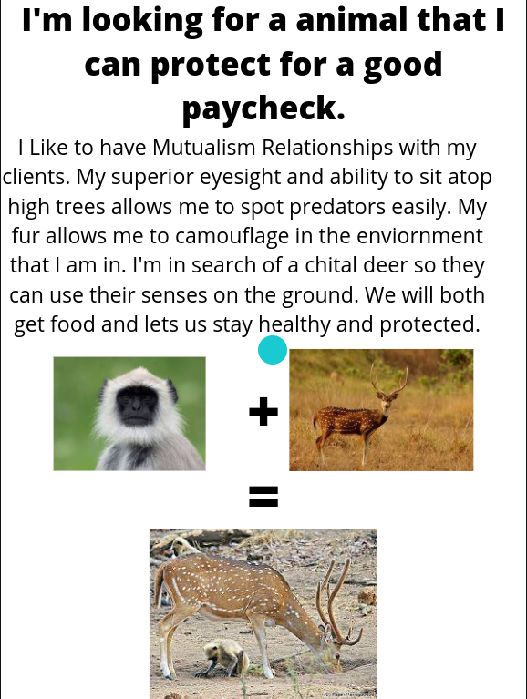 DomeniciMs's tweet photo. HELP WANTED!! #symbiosis @VIDASHARKS https://t.co/wKQS1z3IUK