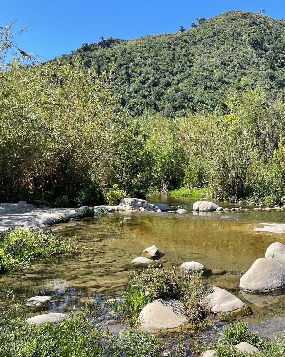 CountyVentura's tweet photo. We met Park Ranger Trainee Elmer Mayorga this morning @ #FosterPark welcoming visitors! Heโs new to the team so join us in giving him a warm welcome! He told us itโs his favorite park because of the river and it feels like a hidden gem. Visit #VCParks ๐ https://t.co/VlZVZi59dS https://t.co/DZ5S9b4XG6