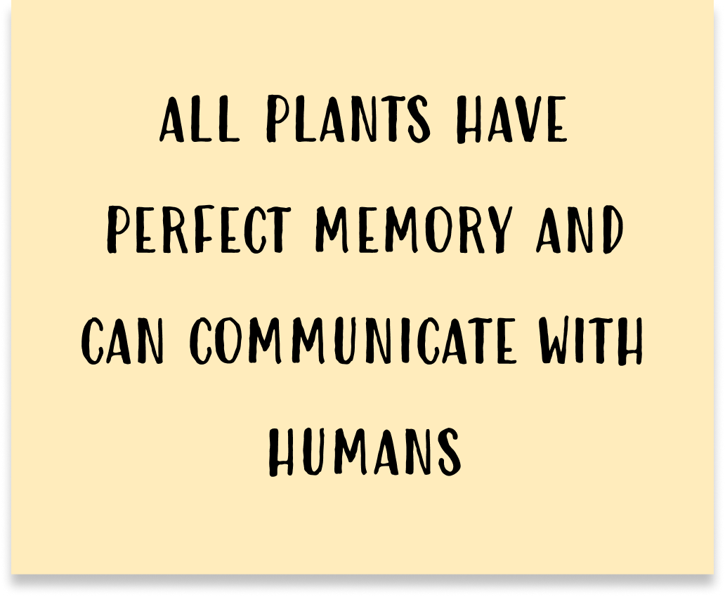 salt_codes's tweet photo. Tupkary's prompts were "Stories told to conches last forever" and "All plants have perfect memory and can communicate with humans"
You can still get your own prompts from Prompt Generator 01 ⇢ https://t.co/I2D5TgdRm6
#MaterialConditions #PromptGenerator https://t.co/XkP8CDBdzJ
