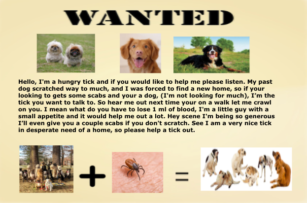 DomeniciMs's tweet photo. HELP WANTED!! #symbiosis @VIDASHARKS https://t.co/wKQS1z3IUK
