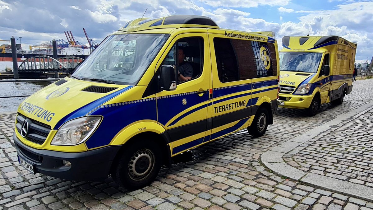 TIER_NOTRUF's tweet photo. Wir suchen dich für den https://t.co/oW6W7BcKUI 🤩👉 https://t.co/9PEH5gJB2O Wir wachsen &amp; erweitern unser Team in Hamburg, Schleswig Holstein, Mecklenburg Vorpommern, Bremen, Region Bochum, Teile von Niedersachsen
#teampfotenretter #tierrettung https://t.co/bzIjaY5iib