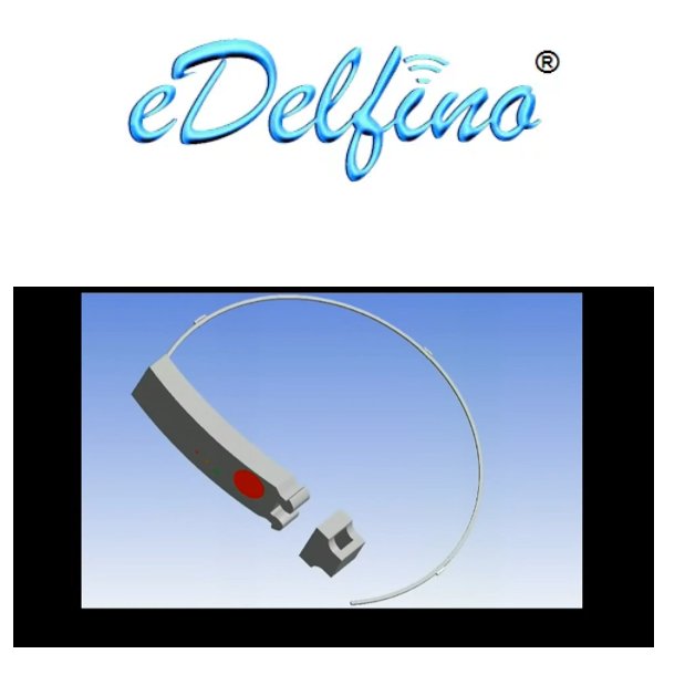 Scopri lo sviluppo di eDelfino(R) a sostegno dei motociclisti e tutte le altre attività di R&amp;D, di Innovazione e di Ingegneria di VDPROJECT S.R.L.!
vdproject.eu valentinadaddi.it