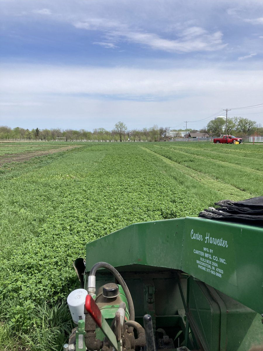 bealsburg's tweet photo. First attempt at a drone photo…final forage cut of #legacynet before terminating grassland ley and planting wheat here in Minnesota USA https://t.co/GOMtnsLMvw