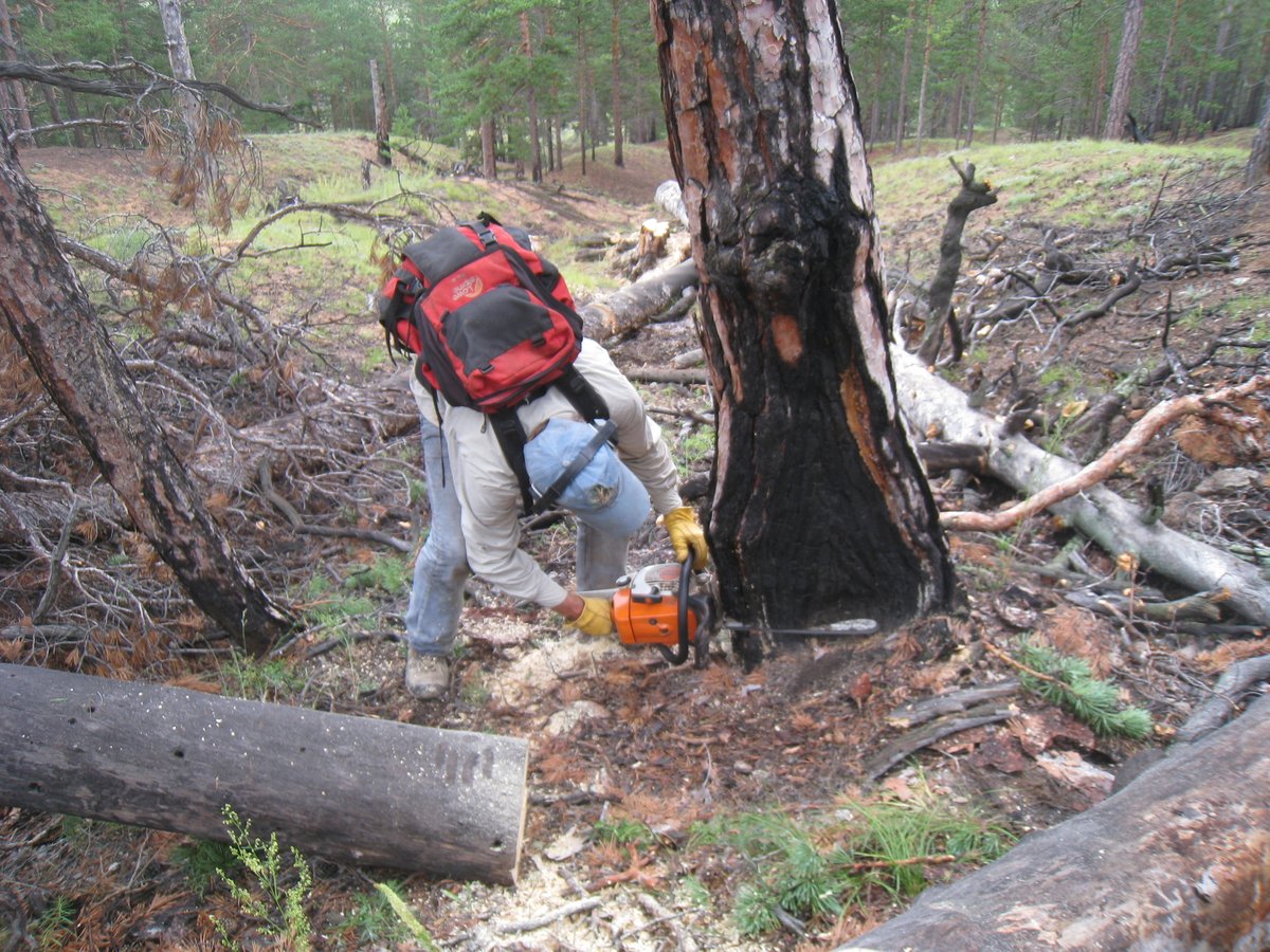 A few sample photos from our collection in Buryatia, Siberia #firescarfriday