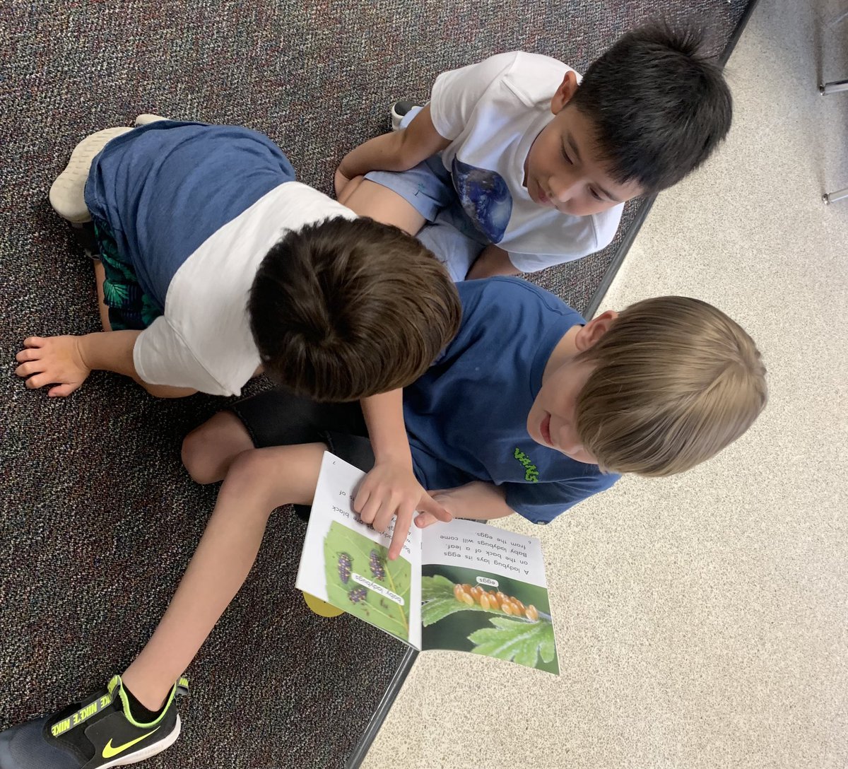 hhkiker's tweet photo. It was such a treat to have a visit from our friends in Mrs. Brown’s Kindergarten class! Pre-K really enjoyed reading and finding sight words with you. Thank you so much for coming! ❤️ @Les_Charbonneau @TISD_PreK @TISDLES1 https://t.co/GwVQ5aTOia