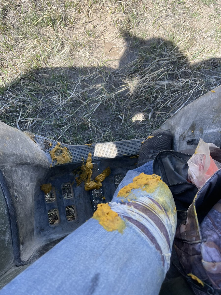 jaclyn wilson tweet media