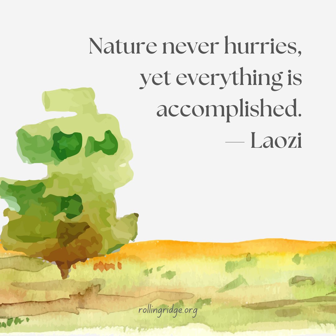 RollingRidgeMA's tweet photo. "Nature never hurries, yet everything is accomplished."
— Laozi
#Laozi #LaoTzu #contempation #mindfulness #spirituality #eastwest #rollingridgeMA #nature https://t.co/tIqxYBMq5I