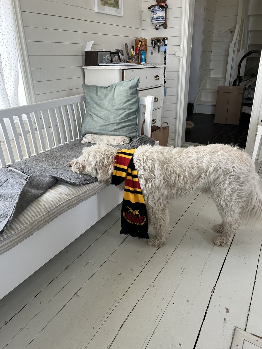 Känslan senaste dygnet