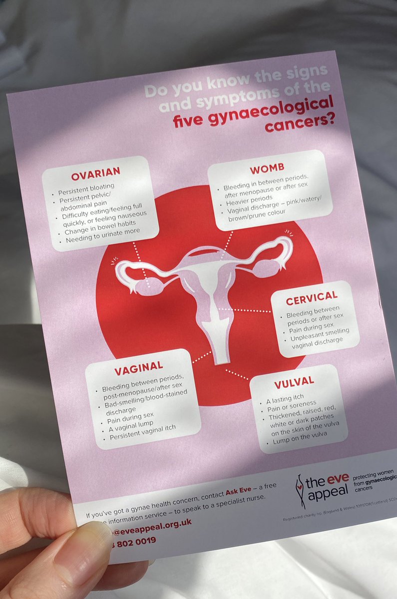 ItsMillyEvans's tweet photo. Here’s a close up of the @eveappeal leaflet - save it to your phone to share it with loved ones and spread awareness of the signs and symptoms of #gynaecancer 👇 #GetLippy #GetLippyDay https://t.co/I8aQrvhhdR
