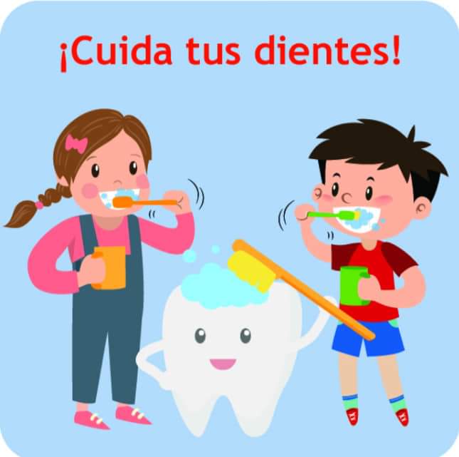 dientes_limpios's tweet photo. La higiene bucodental es el cuidado de los dientes, las encías, la lengua y toda la cavidad bucal en general. Se establece mediante la adopción de cuatro hábitos: el cepillado, la limpieza con hilo dental, el enjuague y la visita periódica al dentista y al higienista dental. https://t.co/RIO1WrlAZO