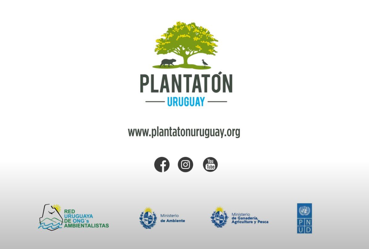 Reunidos con el comité ejecutivo de Plantatón #Uruguay, para planear las próximas plantaciones y discutir cómo elevar la ambición y el impacto del programa en el mediano plazo.