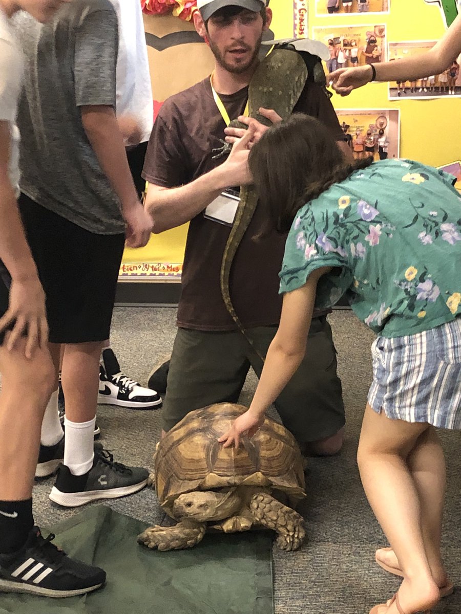 khrspecial's tweet photo. Turtles and snakes and lizards, oh my! Some highlights from #scienceday at GMSS: @MrDuberGMSS https://t.co/qoOzlaikWf