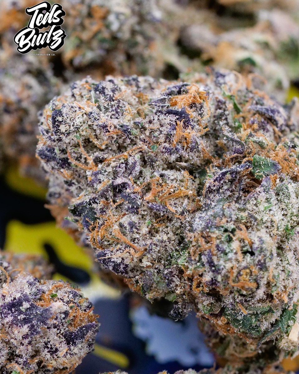 TheSmokersClub's tweet image. Cronuts 🥐🍩 a collab with  @Tedsbudzco_ A smooth and sweet high #BringYaLungs