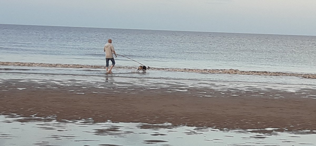 melbentley74's tweet photo. Cooper's first trip to the seaside an he loves it, especially saving a dog fish  @DogsTrust @DT_Loughborough #chilledweekend #lovinglife https://t.co/qNJn3zkTrs