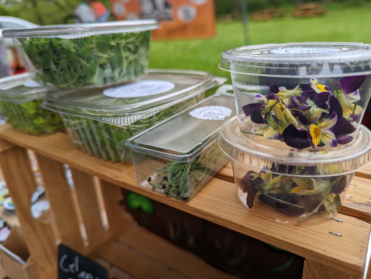 Farmoveryonder's tweet photo. #FarmersMarket time once again!
.
.
#microgreens #healthyfood #organic #vegan #urbanfarming #food #microgreen #superfood #microgreensfarm #healthy #foodie #vegetarian #healthylifestyle #nutrition #eatlocal #sprouts #urbanfarm #foodporn #salad #farmtotable #plantbased #Flowers https://t.co/AilGnEvCFD