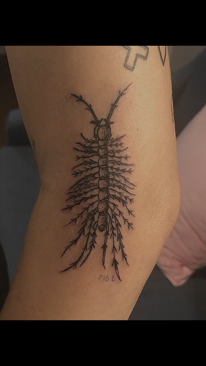lilbuggyguts's tweet photo. tattoos from this week !😮‍💨 https://t.co/FiUqTPEPjj