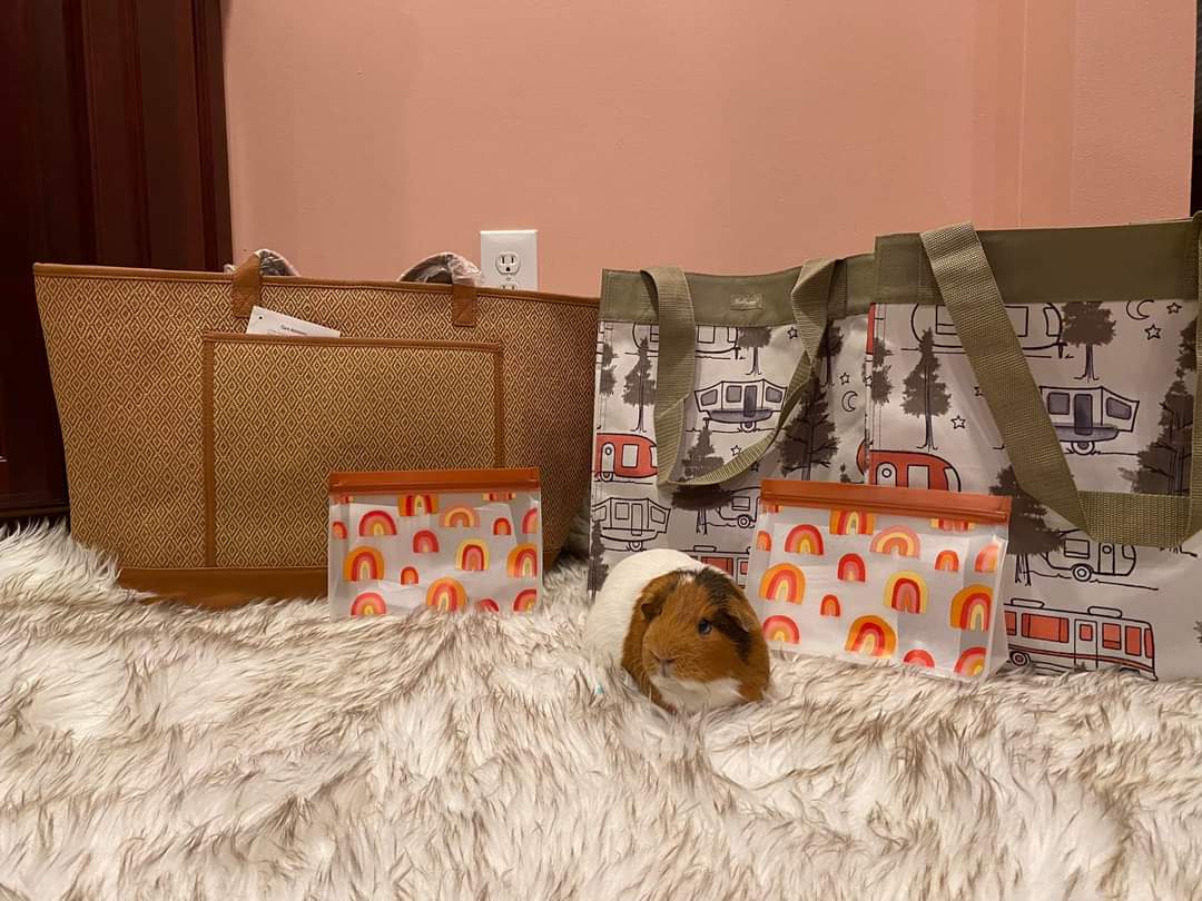 TevaLand's tweet photo. We still have 6 drawings left and you can still buy tickets!! Every $20 #donation gives you a chance at #winning one of the six remaining prize packages! Buy a #ticket to enter for a chance to win some reusable shopping bags!! donate through venmo (@tevaland) 🙏❤️ https://t.co/nLPWx7dn1M