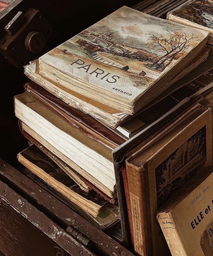 feyrewing's tweet photo. › livros lidos em 2022; a thread.

 "Eu vivi mil vidas e amei mil amores. Andei por mundos distantes e vi o fim dos tempos. Porque eu li."

⠀⠀⠀⠀            — George R. R. Martin. https://t.co/ErHe5V0NVe