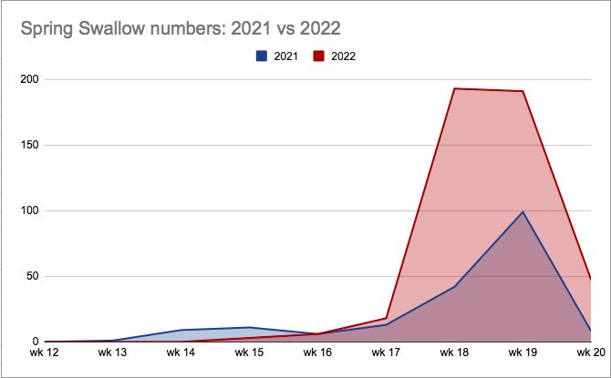 WansteadBirding's tweet photo. After a slow start compared with last year, #Swallow numbers over Wanstead have been much higher (more than double) so far this Spring compared to the same period last year. #londonbirds #eBird #birdmigration #birddata https://t.co/JyCXzwhzHd