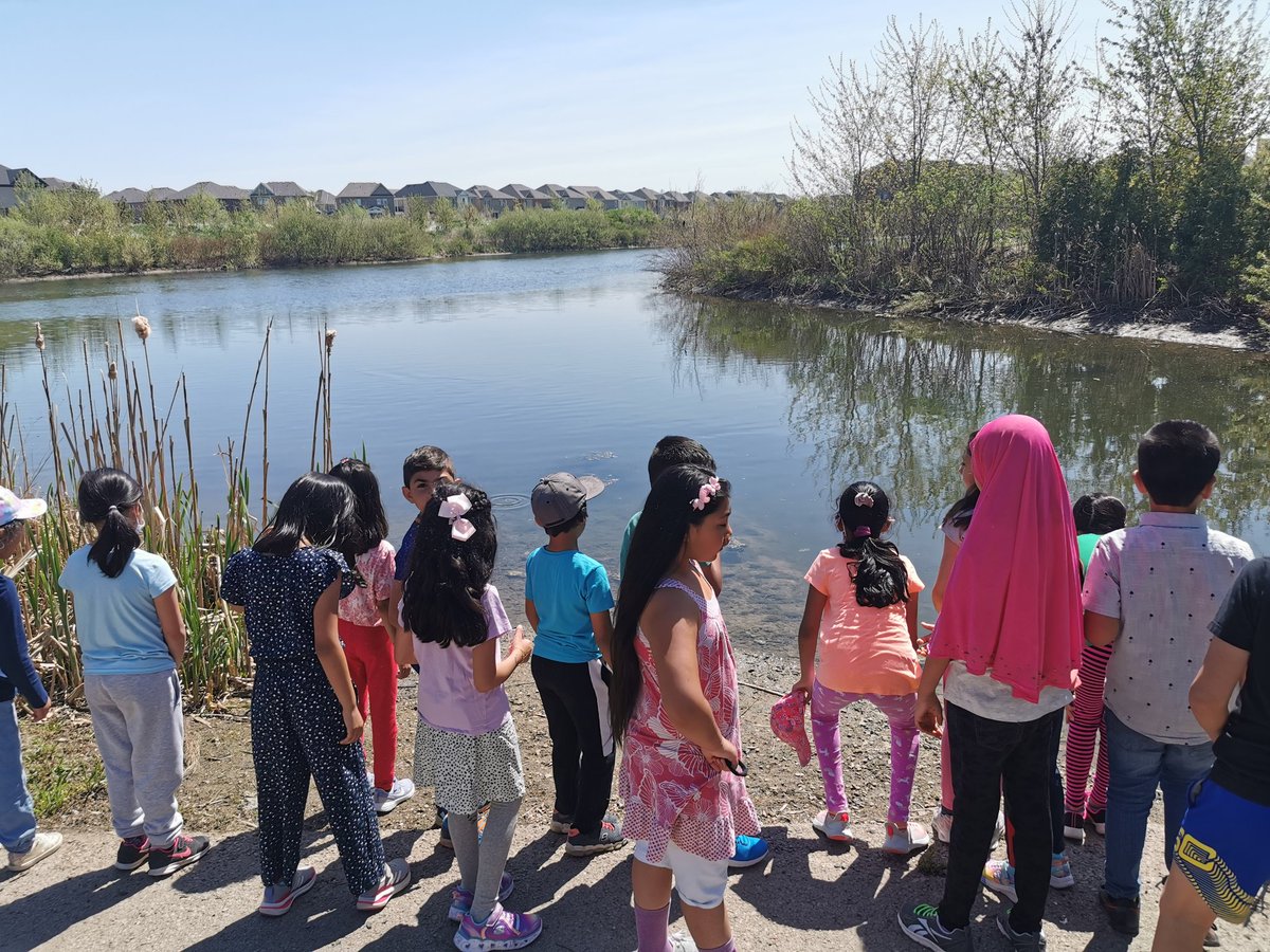 MsThorogood's tweet photo. It was a beautiful day to explore and search for living things in our neighbourhood reservoir! @DesmondHDSB @nieuwpoortj @RyanHDSB https://t.co/VriPLTbG6O