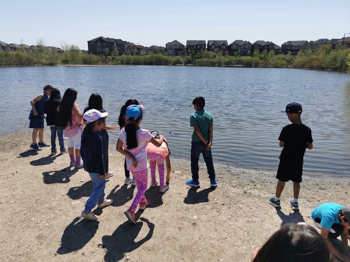 It was a beautiful day to explore and search for living things in our neighbourhood reservoir! <a href="/DesmondHDSB/">Viola Desmond Public School</a> <a href="/nieuwpoortj/">Jessie Nieuwpoort</a> <a href="/RyanHDSB/">Mrs. Ryan</a>