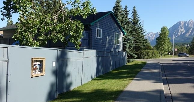 This tiny roadside museum in Canmore is one you should not miss! The Curbside Museum showcases local art and fascinating collections that explore ideas both large and small. 

📸 Curbside Museum