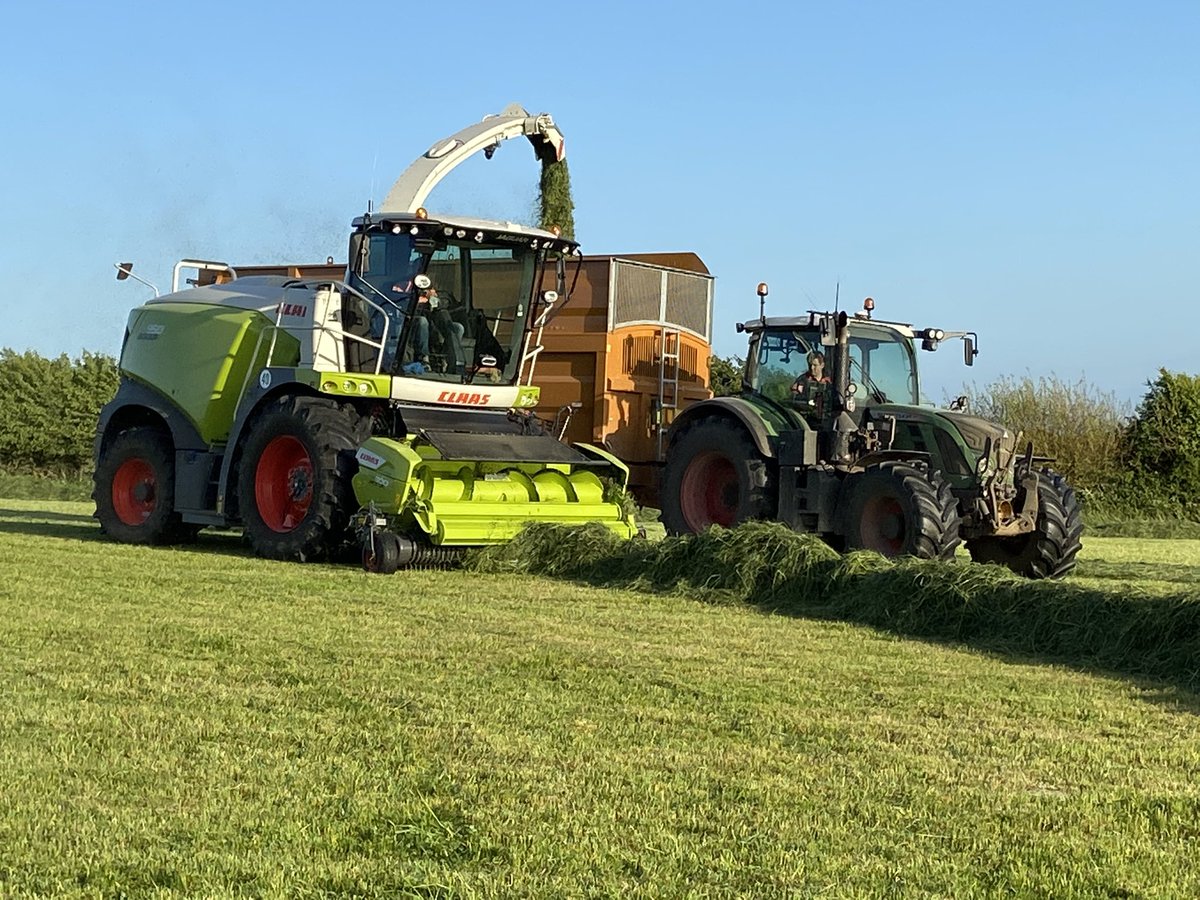 First cut done, later this season than previous years. Quality seems good at this stage. Thank you team <a href="/macaulay_benton/">Macaulay Benton</a> <a href="/thecropdoctor/">Iain Robertson</a> and Kidner contracting.. rain now please.. #forage #beef #farm