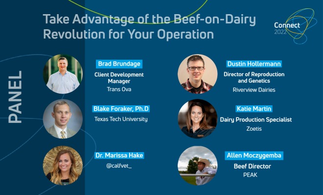 How are you using beef-on-dairy to drive profit? 💰 

Learn how you can implement new tools to drive revenue for your dairy and network with other producers to hear what they’re doing to capitalize on the beef-on-dairy movement.  

Join us in Nashville, June 15-17!